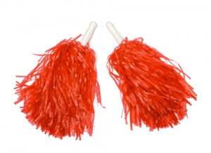 Pompoms